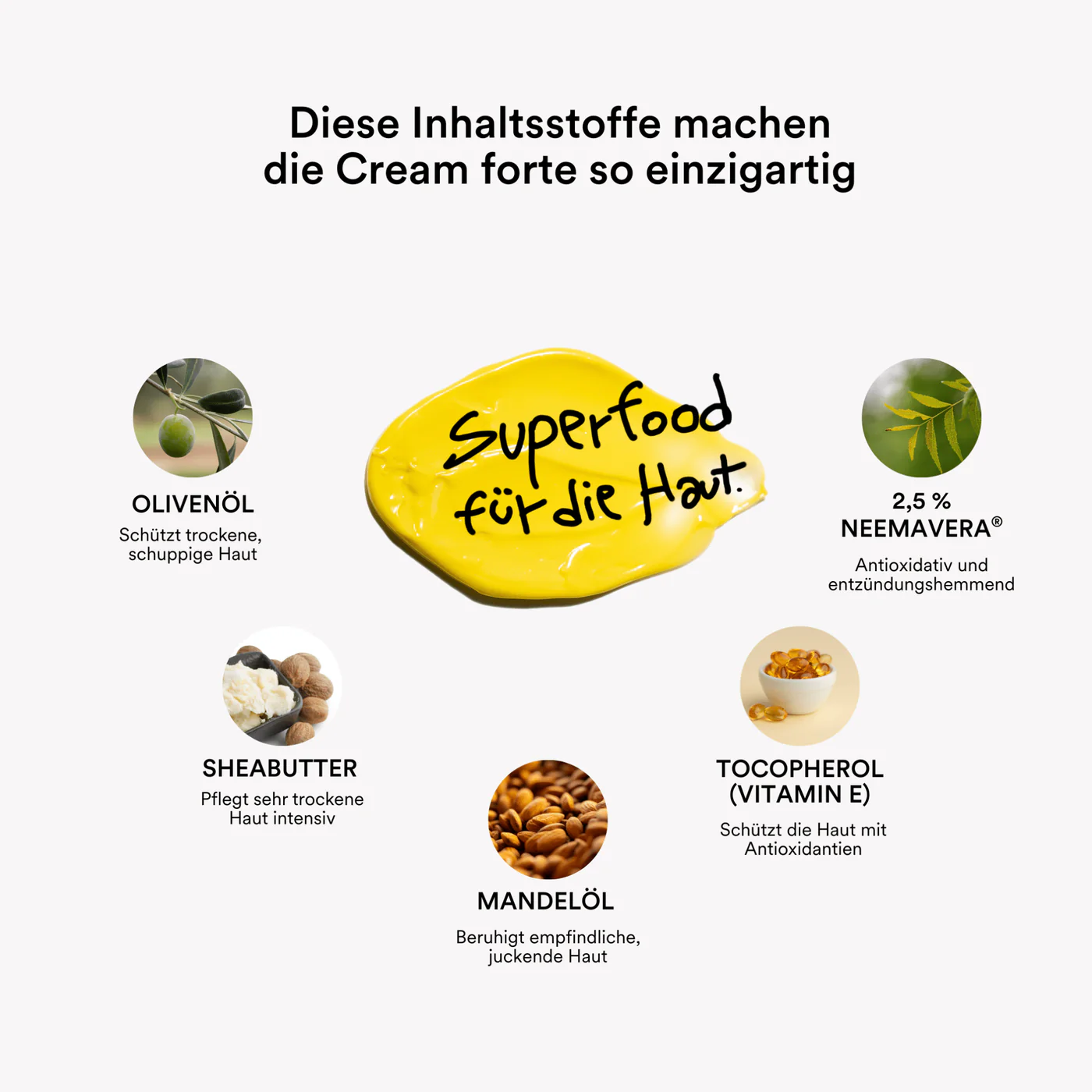 natueuer-Cream-forte-2_5_-Infografik-2