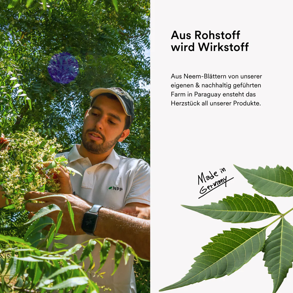 natueuer-Cream-forte-2_5_-Infografik-4